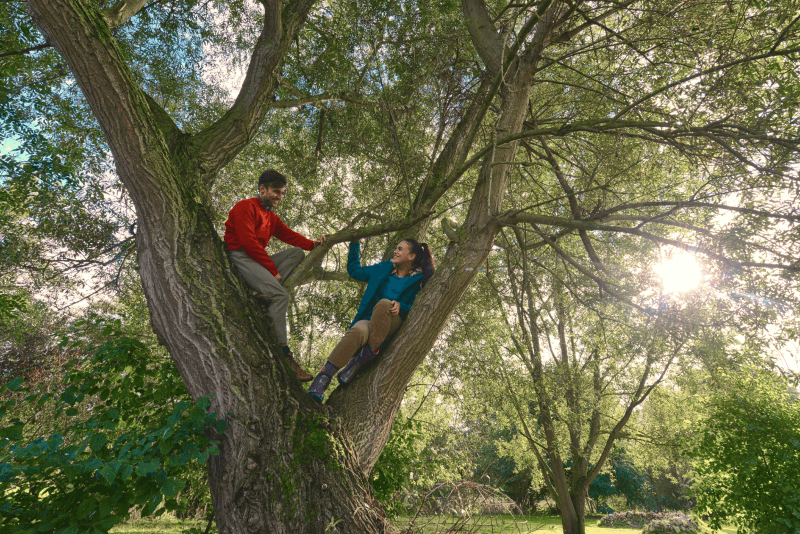 two people on a tree